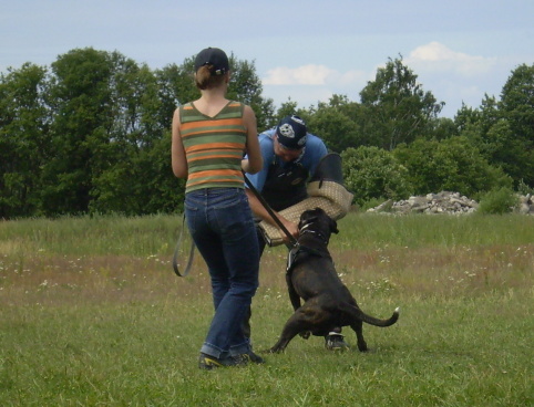 Training in Estonia 6/2007